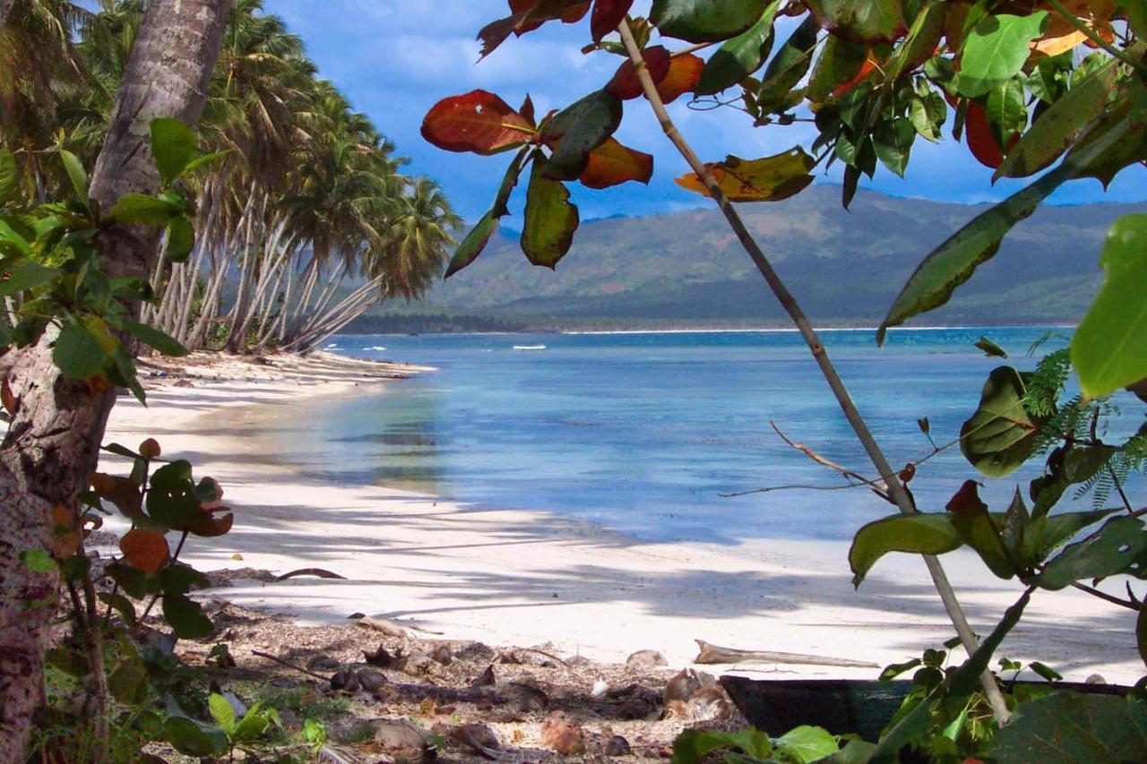 Jasmine La Playita - Ocean Front Apartment Las Galeras Exterior photo