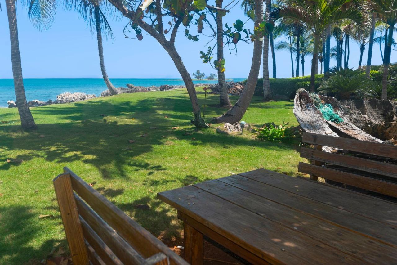 Jasmine La Playita - Ocean Front Apartment Las Galeras Exterior photo